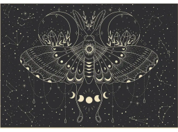 INTERDRUK Puzzle Galaxy: Měsíční motýl 500 dílků