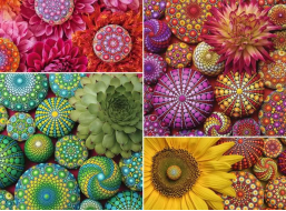 RAVENSBURGER Puzzle Mandala květiny 500 dílků