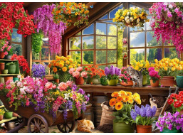 BLUEBIRD Puzzle Skleník 500 dílků