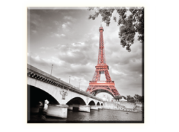 Obraz na plátně 30x30cm PARIS - vzor 78