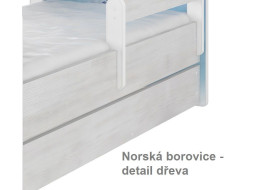 Norská borovice - detail