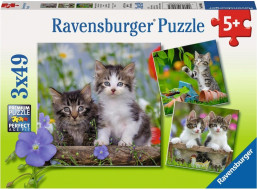 RAVENSBURGER Puzzle Koťata 3x49 dílků