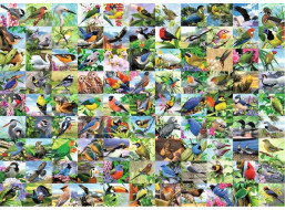 RAVENSBURGER Puzzle 99 úchvatných ptáků EXTRA 300 dílků