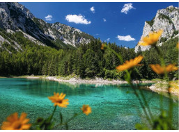 RAVENSBURGER Puzzle Zelené jezero, Tragöß, Rakousko 1000 dílků