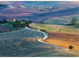 RAVENSBURGER Puzzle Farma Terrapille, Pienza, Siena, Toskánsko 1000 dílků