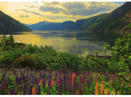 RAVENSBURGER Puzzle Fjord v Norsku 1000 dílků