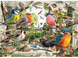 RAVENSBURGER Puzzle Naši opeření přátelé 1000 dílků