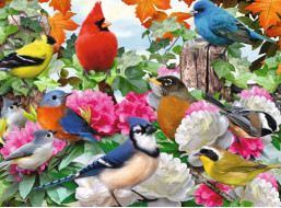 RAVENSBURGER Puzzle Zahradní ptáci 500 dílků