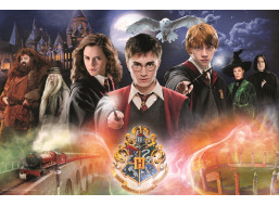 TREFL Puzzle Tajemný Harry Potter 300 dílků
