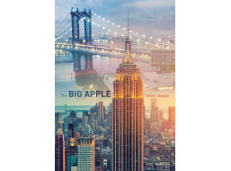 TREFL Puzzle New York za úsvitu 1000 dílků
