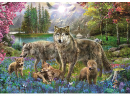 TREFL Puzzle Vlčí rodina 1000 dílků
