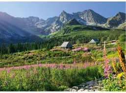 CHERRY PAZZI Puzzle Gąsienicowa dolina, Vysoké Tatry 1000 dílků