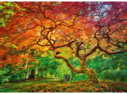 CHERRY PAZZI Puzzle Koruna stromu 1000 dílků