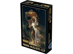 D-TOYS Puzzle Bouře 1000 dílků