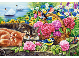 CASTORLAND Puzzle Líná neděle 1000 dílků