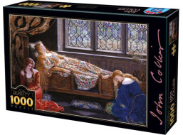 D-TOYS Puzzle Šípková Růženka 1000 dílků