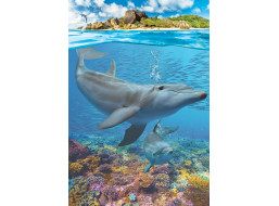 EUROGRAPHICS Puzzle Save Our Planet: Delfíni XL 250 dílků