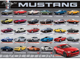 EUROGRAPHICS Puzzle Vývoj Fordu Mustang 1000 dílků