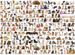 EUROGRAPHICS Puzzle Svět psů 1000 dílků