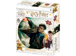 PRIME 3D Puzzle Harry Potter: Harry 3D 300 dílků