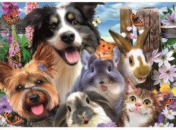 EDUCA Puzzle Vtipné selfie 500 dílků