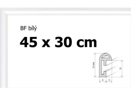 BFHM Plastový rám 45x30cm - bílý
