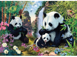 DINO Puzzle Secret Collection: Pandy 1000 dílků