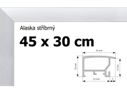 BFHM Alaska hliníkový rám 45x30cm - stříbrný