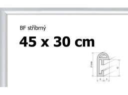 BFHM Plastový rám 45x30cm - stříbrný