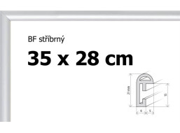BFHM Plastový rám 35x28cm - stříbrný