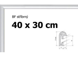 BFHM Plastový rám 40x30cm - stříbrný