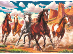 ART PUZZLE Puzzle Divoké koně v údolí 1000 dílků