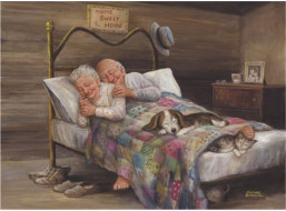 ANATOLIAN Puzzle Všude dobře, doma nejlíp 1000 dílků