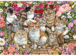 FALCON Puzzle Kočky mezi květy 1000 dílků