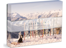GALISON Oboustranné puzzle Gray Malin: Zima 500 dílků