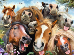 RAVENSBURGER Puzzle Koňská selfie 500 dílků