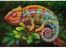 CHERRY PAZZI Puzzle Chameleon 1000 dílků