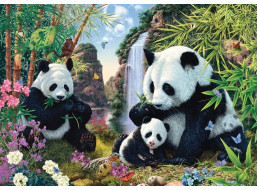 SCHMIDT Puzzle Pandy u vodopádu 500 dílků