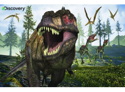 PRIME 3D Puzzle Discovery: Tyrannosaurus Rex 3D 150 dílků