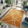 Moderní kusový koberec SPRING Raven - oranžová