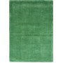 Ručně všívaný kusový koberec Asra wool sv. zelená