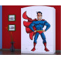 Dětská skříň SUPERMAN - TYP 11