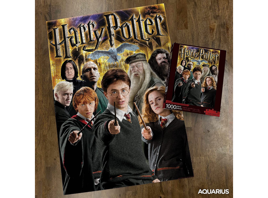 AQUARIUS Puzzle Harry Potter: Postavy 1000 dílků