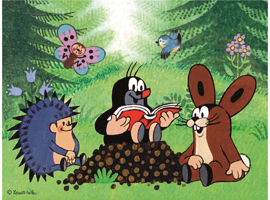 DINO Obrázkové kostky Krtek a zvířátka, 12 kostek