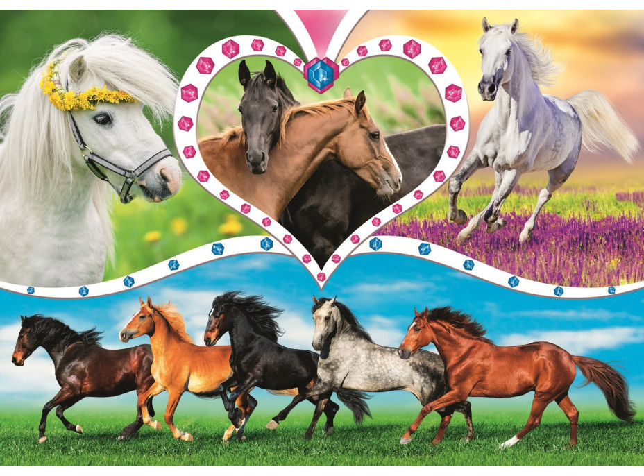 TREFL Puzzle Krásní koně 200 dílků