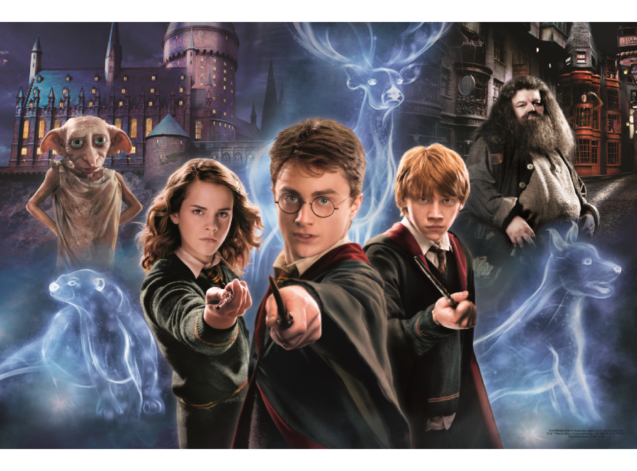 TREFL Puzzle Super Shape XL Kouzelný svět Harryho Pottera 160 dílků