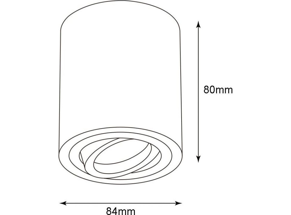 Stropní svítidlo DOT s výklopnou čočkou - černé