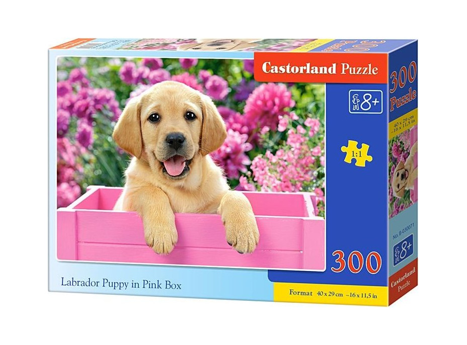 CASTORLAND Puzzle Labrador v růžovém boxu 300 dílků