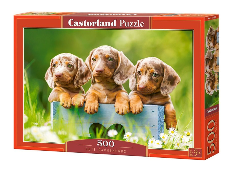 CASTORLAND Puzzle Roztomilí jezevčíci 500 dílků