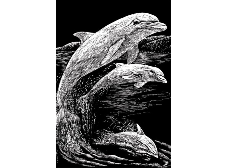 Stříbrný škrabací obrázek Skákající delfíni